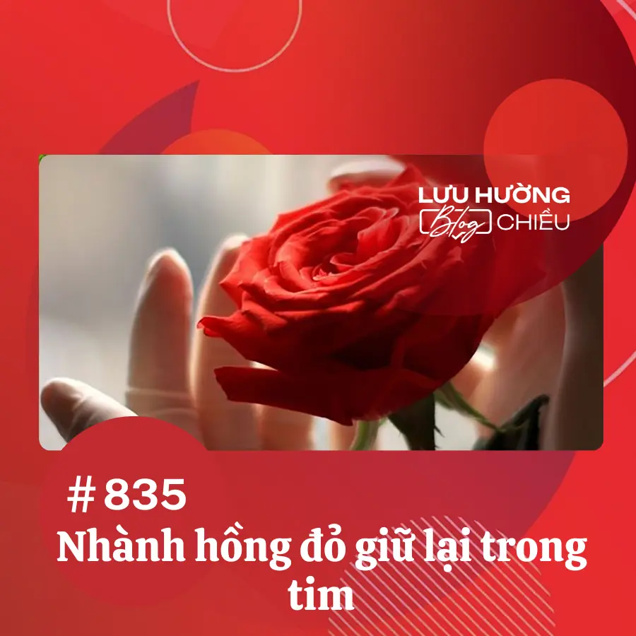 Nhành hồng đỏ giữ lại trong tim